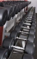 Fototapeta na wymiar Dumbbell weights on rack in gym