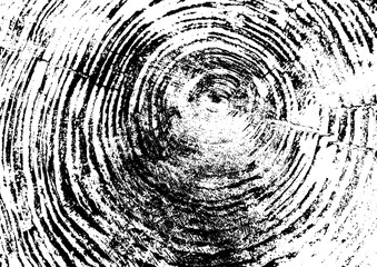 Tree ring, log, wood texture. Black and white. Vector illustration EPS 10 isolated on white background