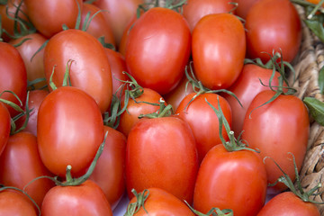 Red Plum Tomatos on Market Stall; Majorca