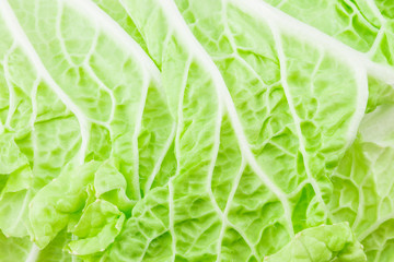 Cabbage detail with leaves texture. With clipping path