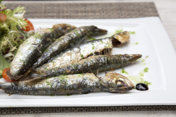 Sardine Fish, Majorca