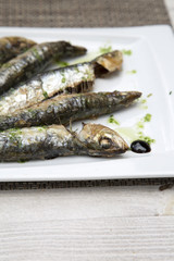 Sardine Fish, Majorca