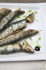 Sardine Fish, Majorca