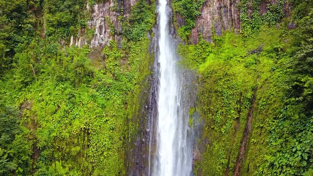 cascade dans la jungle tropicale 