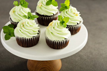 Chocolate mint cupcakes with green frosting