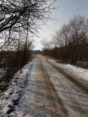 Nature covered in snow during winter. Slovakia	