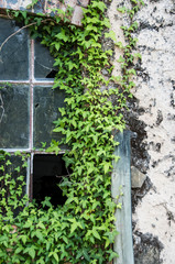 Fábrica em ruínas e abandonada