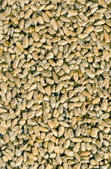 poured by syrup sunflower seeds