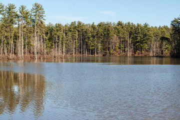 Lakeside
