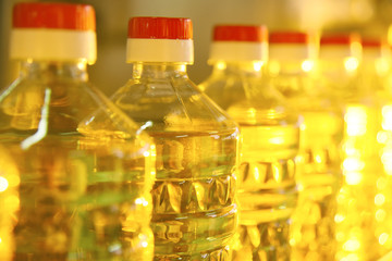 line or conveyor for food production of sunflower oil.