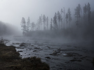 Dawn on a Yellowstone river
