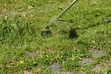 man mows the grass trimmer