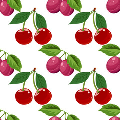 Hand drawn cherry and plum seamless pattern on white background, vector illustration