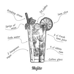 cocktail mojito and its ingredients - obrazy, fototapety, plakaty