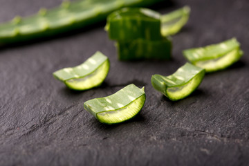 Close up of Aloe Vera plant
