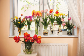 tulips in vases on the windowsill