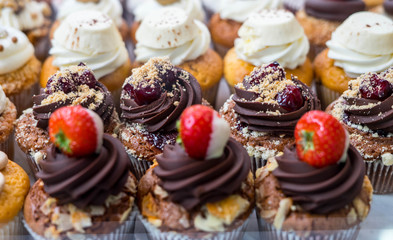 Muffins at Chocolate Exhibition, 