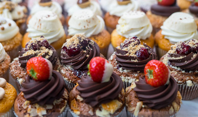 Muffins at Chocolate Exhibition, 