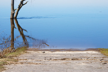 Raised water level in river covers the part of the street an ground where trees grows