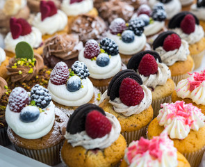 Muffins at Chocolate Exhibition, 