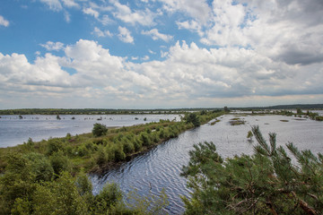 Tister Bauernmoor im August