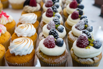 Muffins at Chocolate Exhibition , 