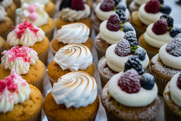 Muffins at Chocolate Exhibition , 