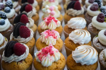 Muffins at Chocolate Exhibition , 
