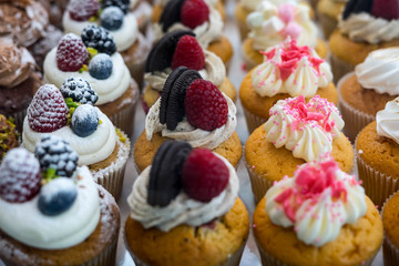 Muffins at Chocolate Exhibition , 