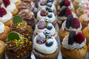 Muffins at Chocolate Exhibition , 