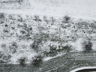 Aerial view of traces in snow