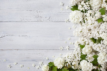 Wooden background with flowering branches of white lilac and viburnum flower