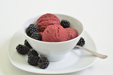 Brombeer Eis / Brombeer Eis mit Brombeeren in einer weißen Schale, Makro, Nahaufnahme, weißer Hintergrund, isoliert 