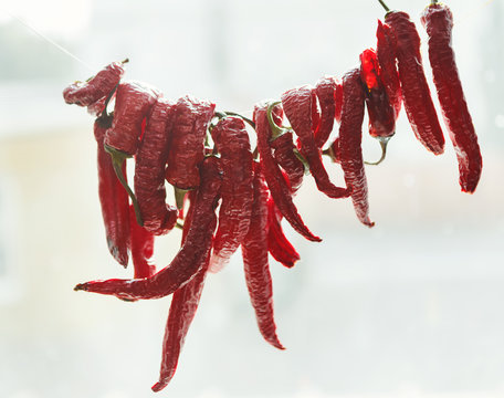 Hot Red Chili Peppers Hanging On Rope