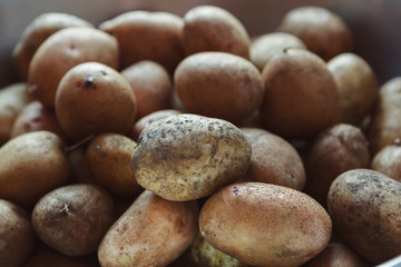 Pile of organically grown potatoes
