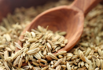 Fennel seeds