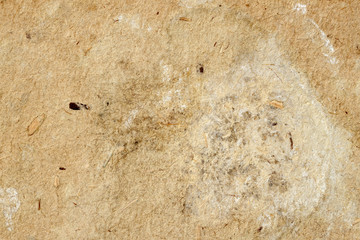 Texture of old moldy paper with dirt stains, spots, inclusions cellulose, brown antique cardboard texture background, grunge vintage background