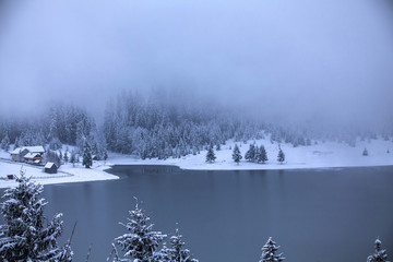 Obraz na płótnie Canvas Lake at winter