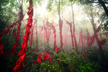 China Fog in the mountains, romantic trees. Translated: dreams and wishes of people written on ribbons