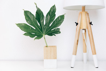 Nordic lamp and tropical leaf, simple decor objects, Scandinavian minimalist white interior