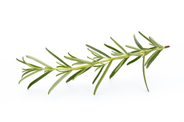 Rosemary isolated on white background, Top view.
