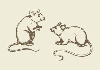 Mouse. Vector drawing