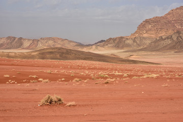 Fototapeta na wymiar farbige Sandebenen des Wadi Rum
