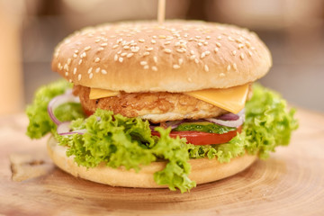 Fresh chicken burger on wooden background. Hamburger made in restaurant with chicken meat, lettuce, onion, tomatoes, cheese and cucumbers.