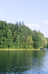 Obraz premium green water in the forest lake. background.