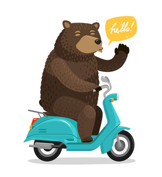 Funny bear riding a scooter. Circus concept. Cartoon vector illustration