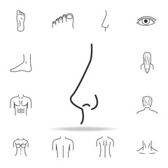Obraz premium nose icon. Detailed set of human body part icons. Premium quality graphic design. One of the collection icons for websites, web design, mobile app