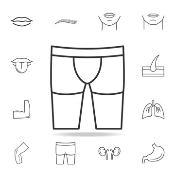 Men briefs boxers icon. Detailed set of human body part icons. Premium quality graphic design. One of the collection icons for websites, web design, mobile app