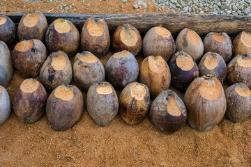 Coconut Perfume is cutting head for Breeds
