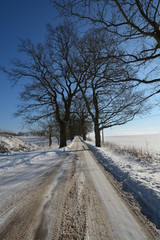 Obraz premium Winterlandschaft, Allee bei Groß Stressow, Putbus, Rügen,